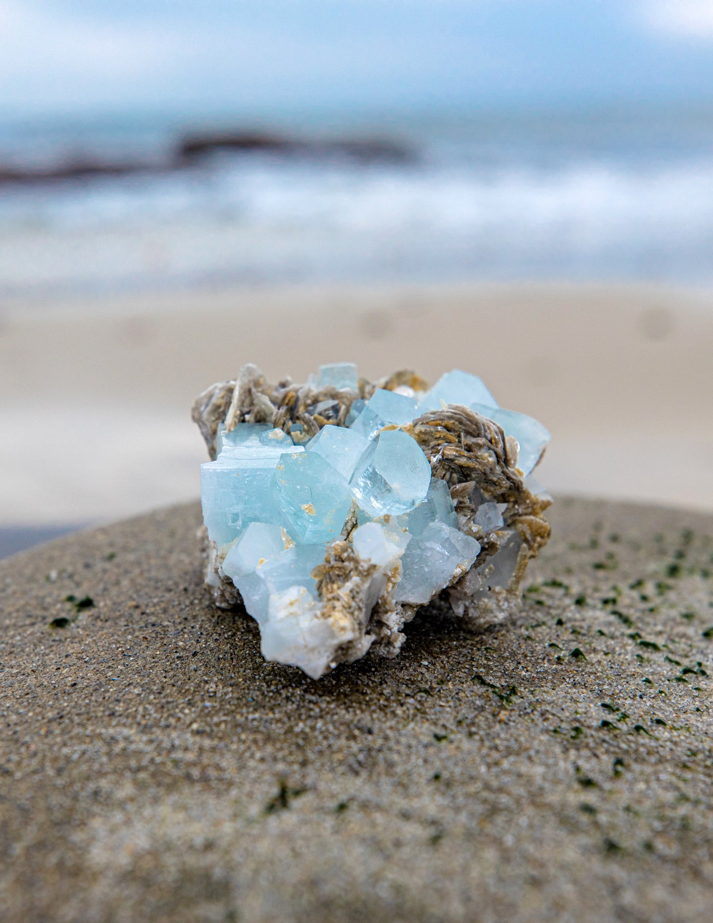 Aquamarine on Muscovite 1